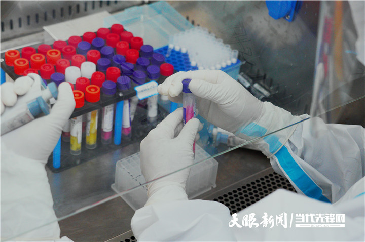 1635388923761330.jpg 1635388923761330.jpg