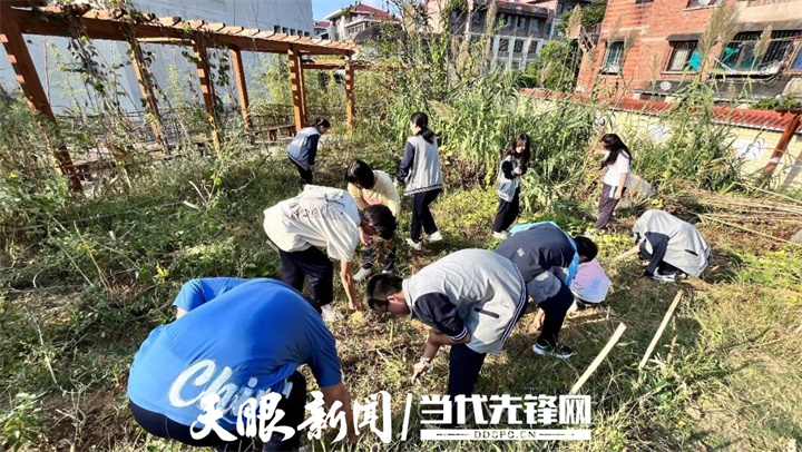 1662609302317588.jpg 2.jpg