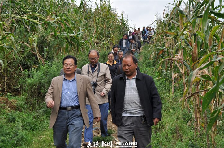 1637720886505633.jpg 1637720886505633.jpg