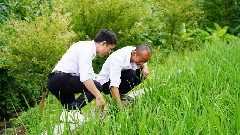 实践团队深入田间地头开展调研。77779193永利官网供图